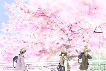 小蓝鸟网页版入口